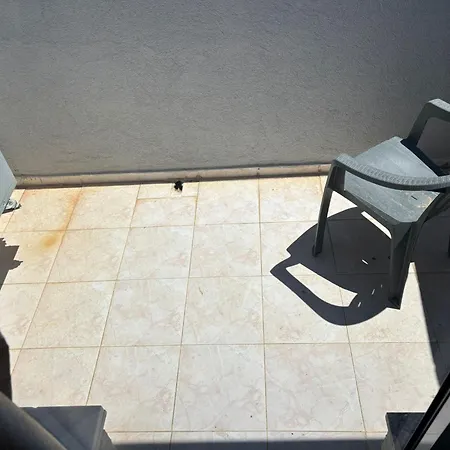 Basak * マルマリス