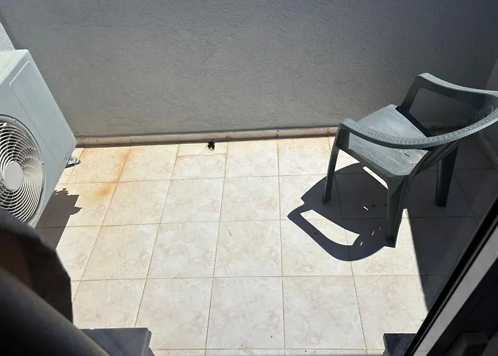 Basak * マルマリス